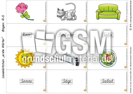 SAS_L_Lesekarte R-S.pdf